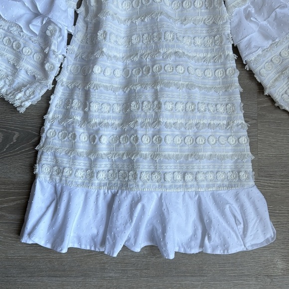 Alexis Calypso Ruffle Mini Dress - Picture 7 of 14